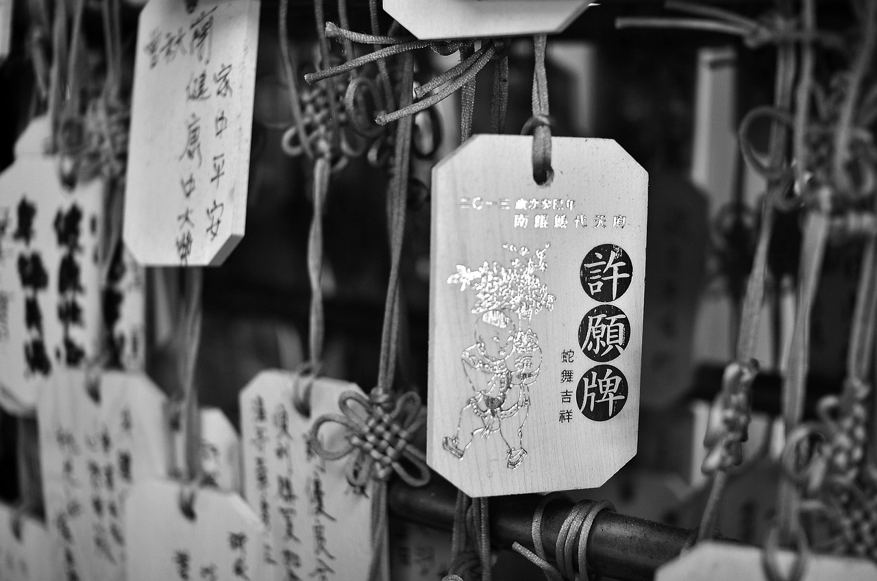 五月獨(dú)特標(biāo)簽的魅力與啟示，探索最新標(biāo)簽，揭示五月之美的啟示