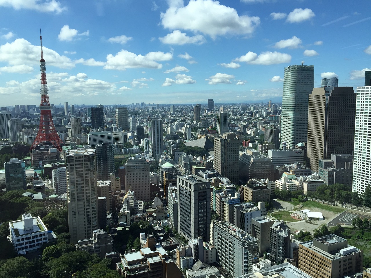 5月志誠華府最新消息全面解析
